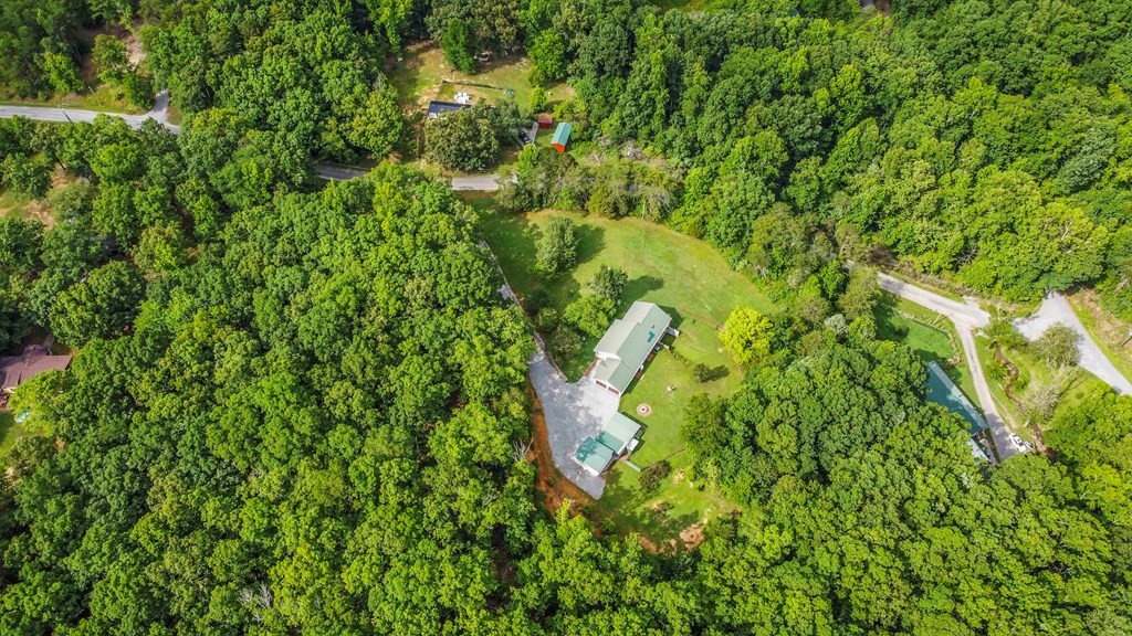 542 Bill Miller Road Spring City, TN 37381 - Photo 54 of 60 Gallery Image 54