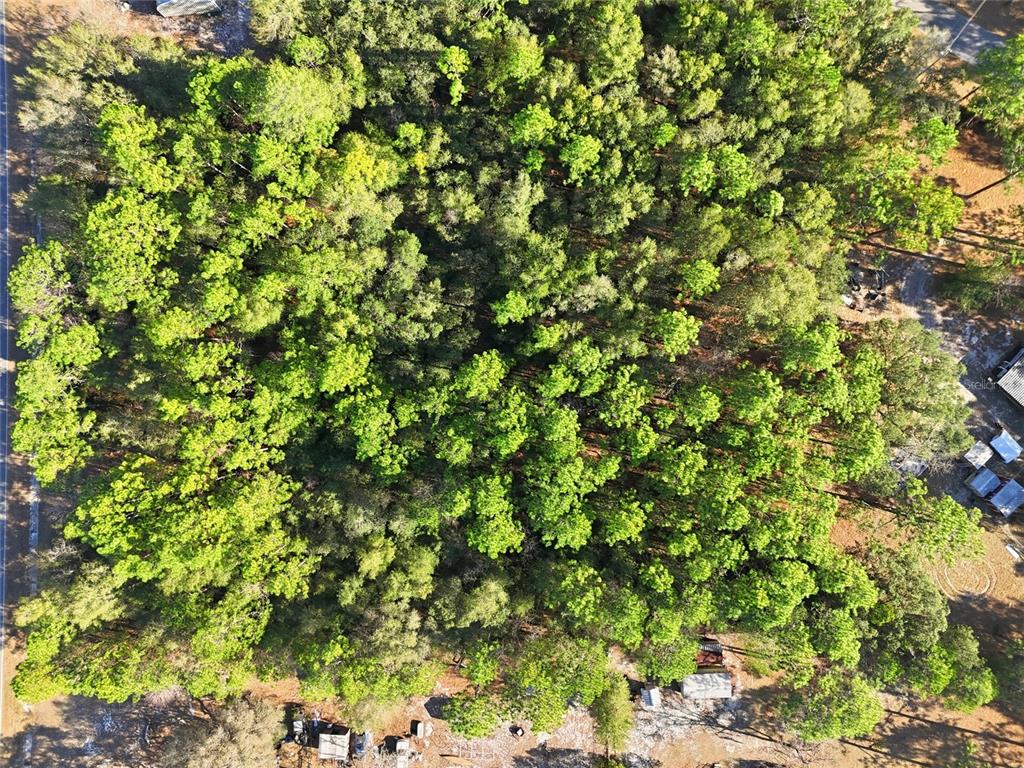 Gas Line Road Keystone Heights, FL 32656 - Photo 16 of 16