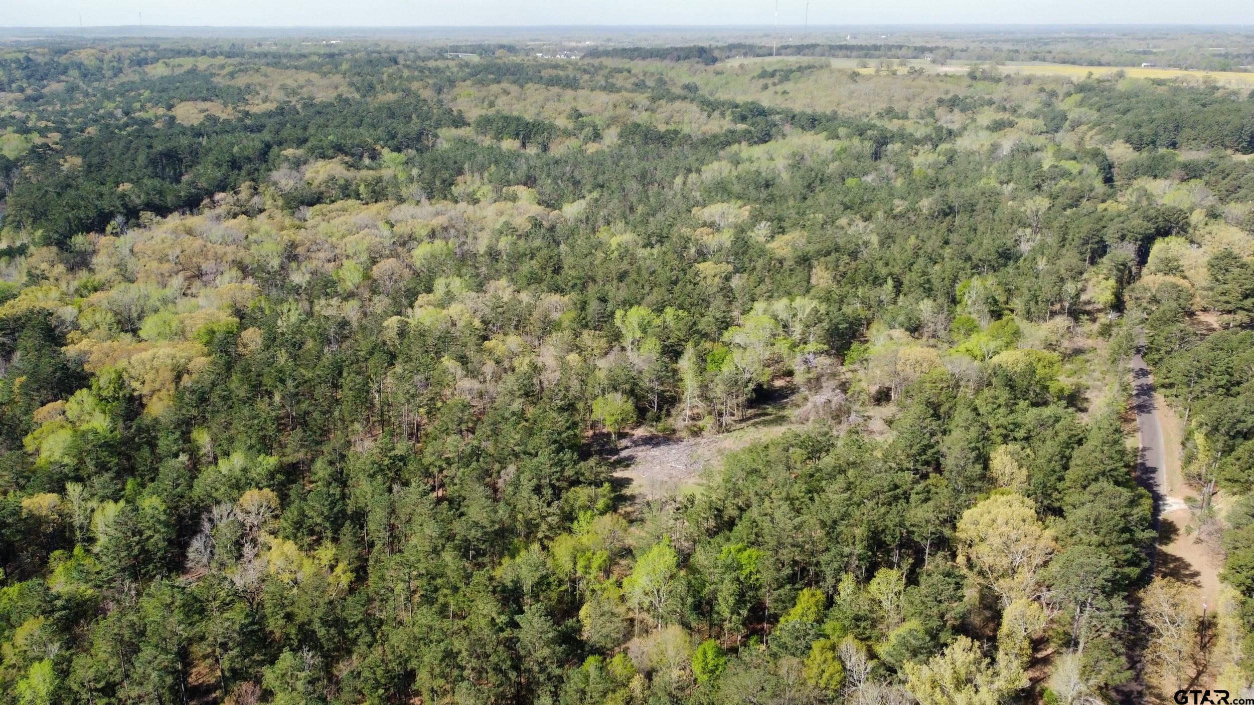 0 C R 434 Lindale, TX 75771 - Photo 24 of 29