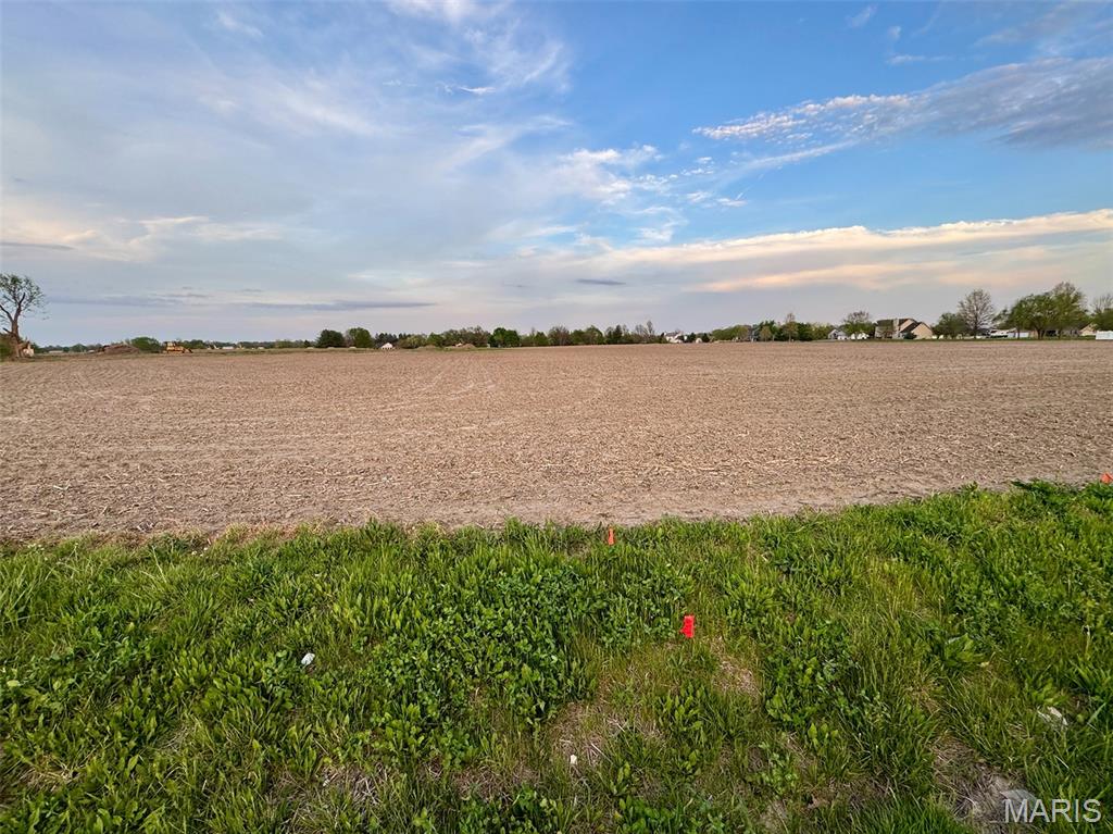 0 Us Highway Highland, IL 62249 - Photo 8 of 10