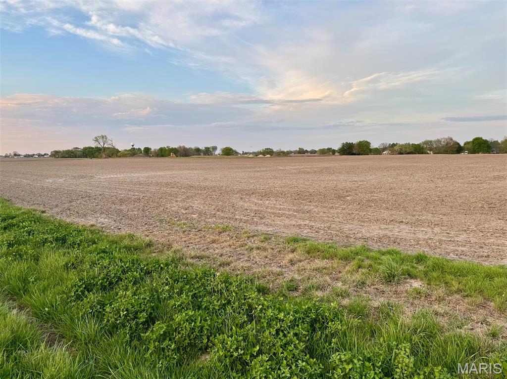 0 Us Highway Highland, IL 62249 - Photo 9 of 10