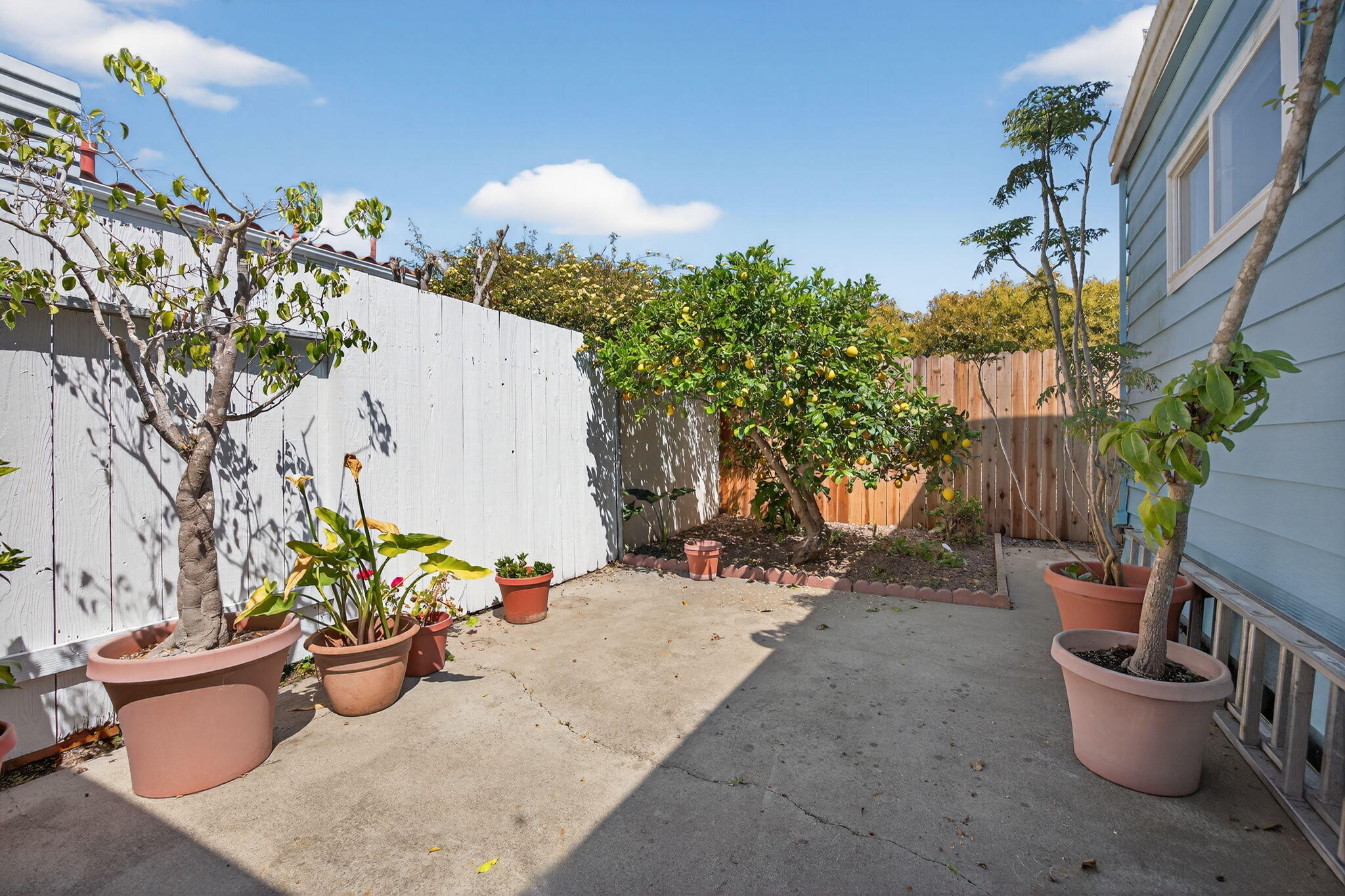 5750 Via Real, Unit 238 Carpinteria, CA 93013 - Photo 27 of 36 28-web-or-mls-Upmarketmedia_5750Via-085