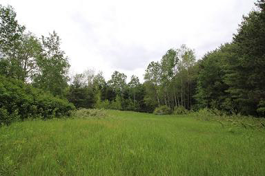 Baker Road Midland, MI 48642 - Photo 13 of 18