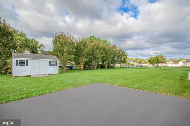 a view of a backyard with plants and a garden