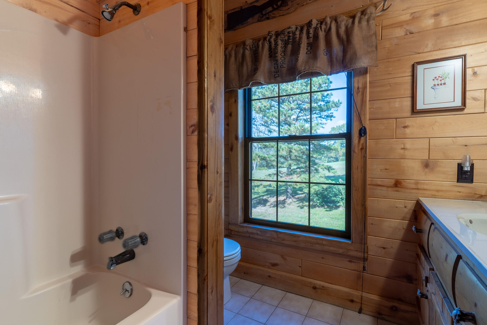 174 Last Resort Road Galena, MO 65656 - Photo 65 of 134 A7306699-HDR