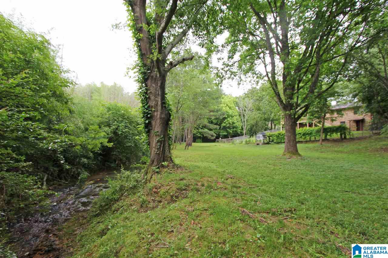 665 Oak Hill Road Oxford, AL 36203 - Photo 3 of 50
