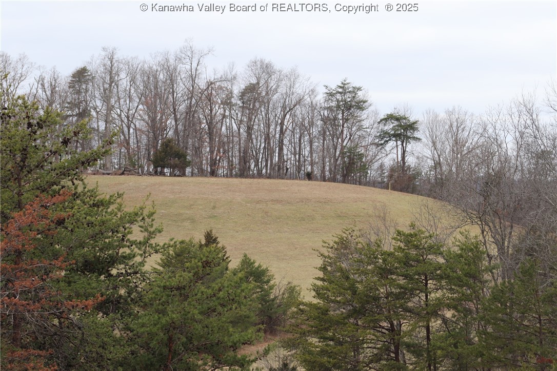 214 Spruce Run Road Ripley, WV 25271 - Photo 18 of 45 Gallery Image 18