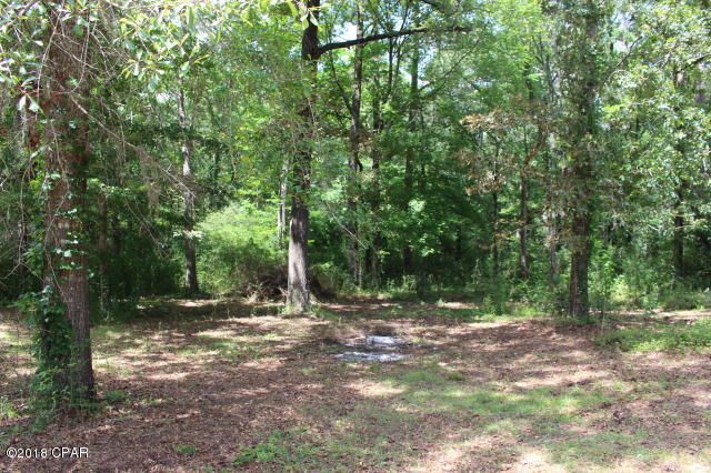 2972 New Hope Road Marianna, FL 32448 - Photo 3 of 17 Gallery Image 3