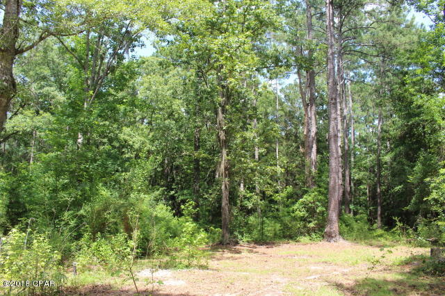 2972 New Hope Road Marianna, FL 32448 - Photo 7 of 17 Gallery Image 7