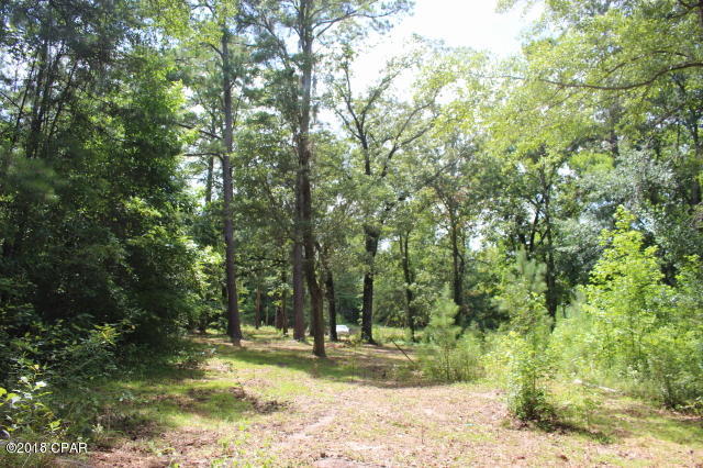 2972 New Hope Road Marianna, FL 32448 - Photo 8 of 17 Gallery Image 8