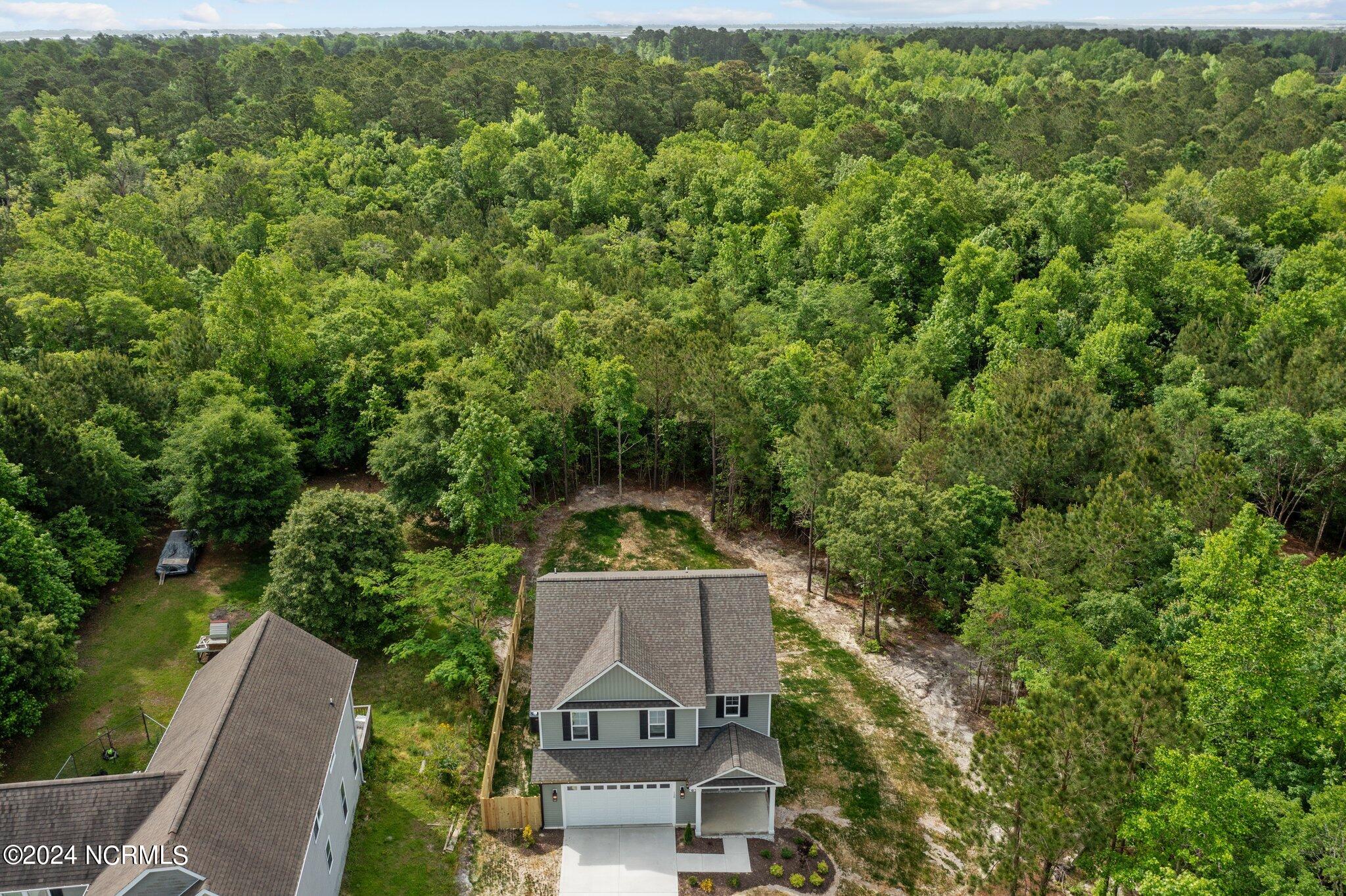 128 Beagle Drive Hubert, NC 28539 - Photo 46 of 49 8-web-or-mls-DJI_0918