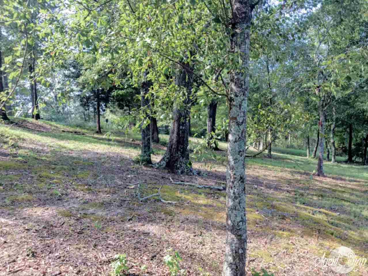 1020 Lone Oak Road West Point, MS 39773 - Photo 33 of 38 Photo 33
