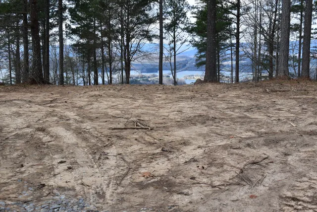 $1,150,000 | 1155 Buck Xing Drive, Unit 1017, Guild, TN 37340