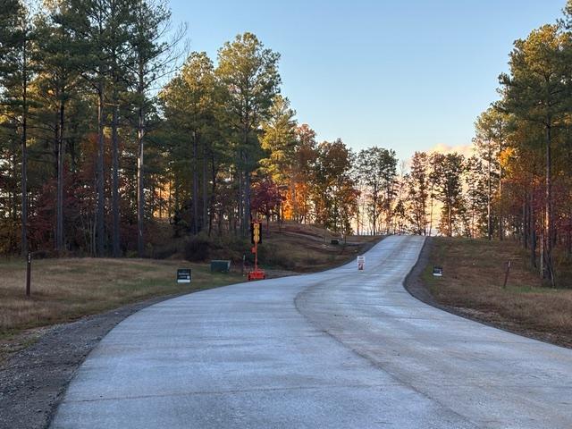 1155 Buck Xing Drive, Unit 1017 Guild, TN 37340 - Photo 11 of 21 RGR 17 20