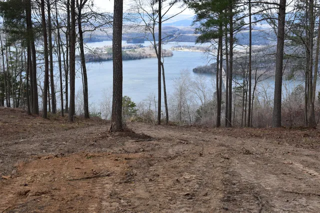 $1,150,000 | 1155 Buck Xing Drive, Unit 1017, Guild, TN 37340