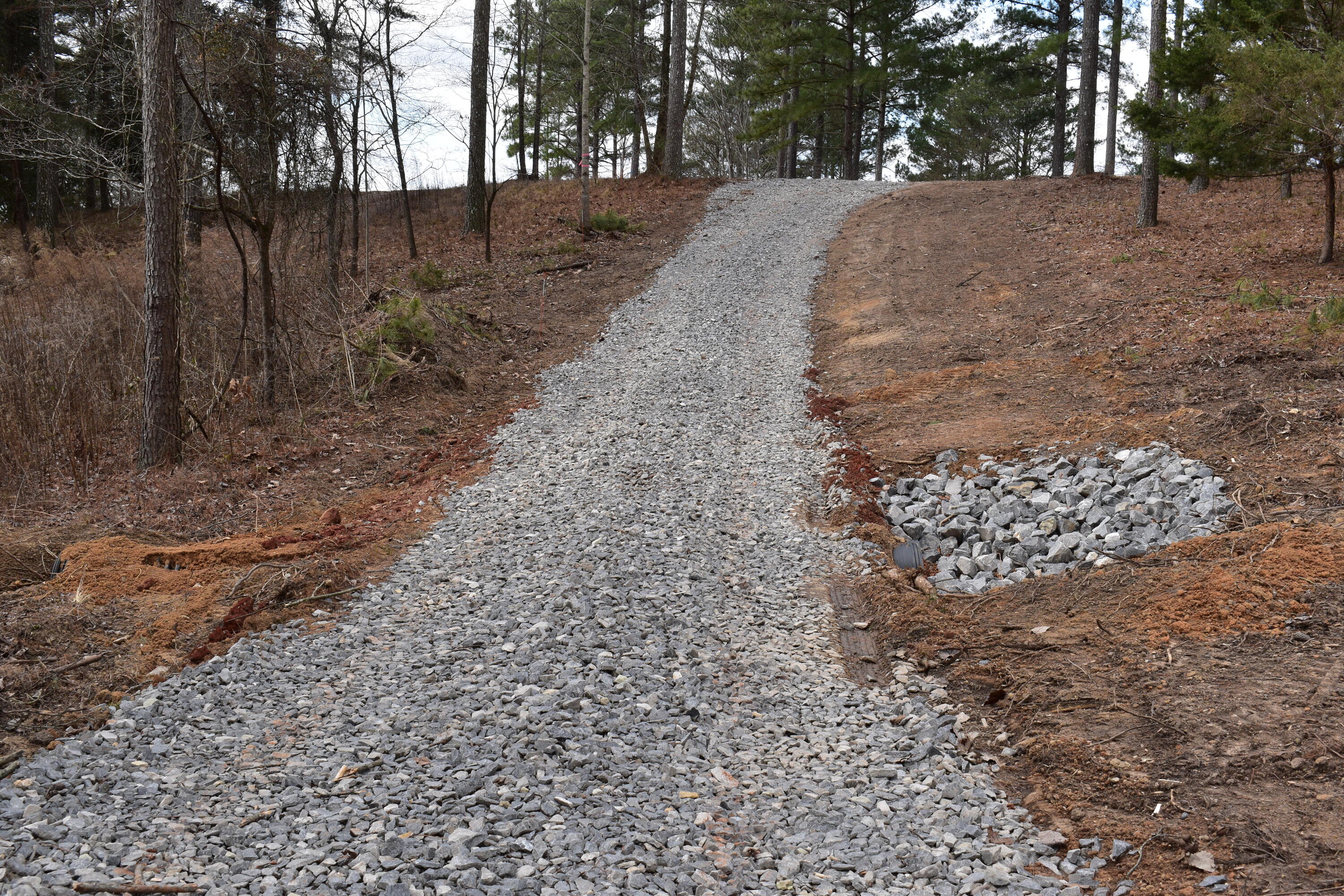 1155 Buck Xing Drive, Unit 1017 Guild, TN 37340 - Photo 12 of 20 17-3