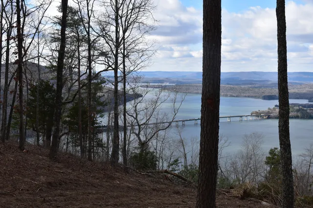 $1,150,000 | 1155 Buck Xing Drive, Unit 1017, Guild, TN 37340