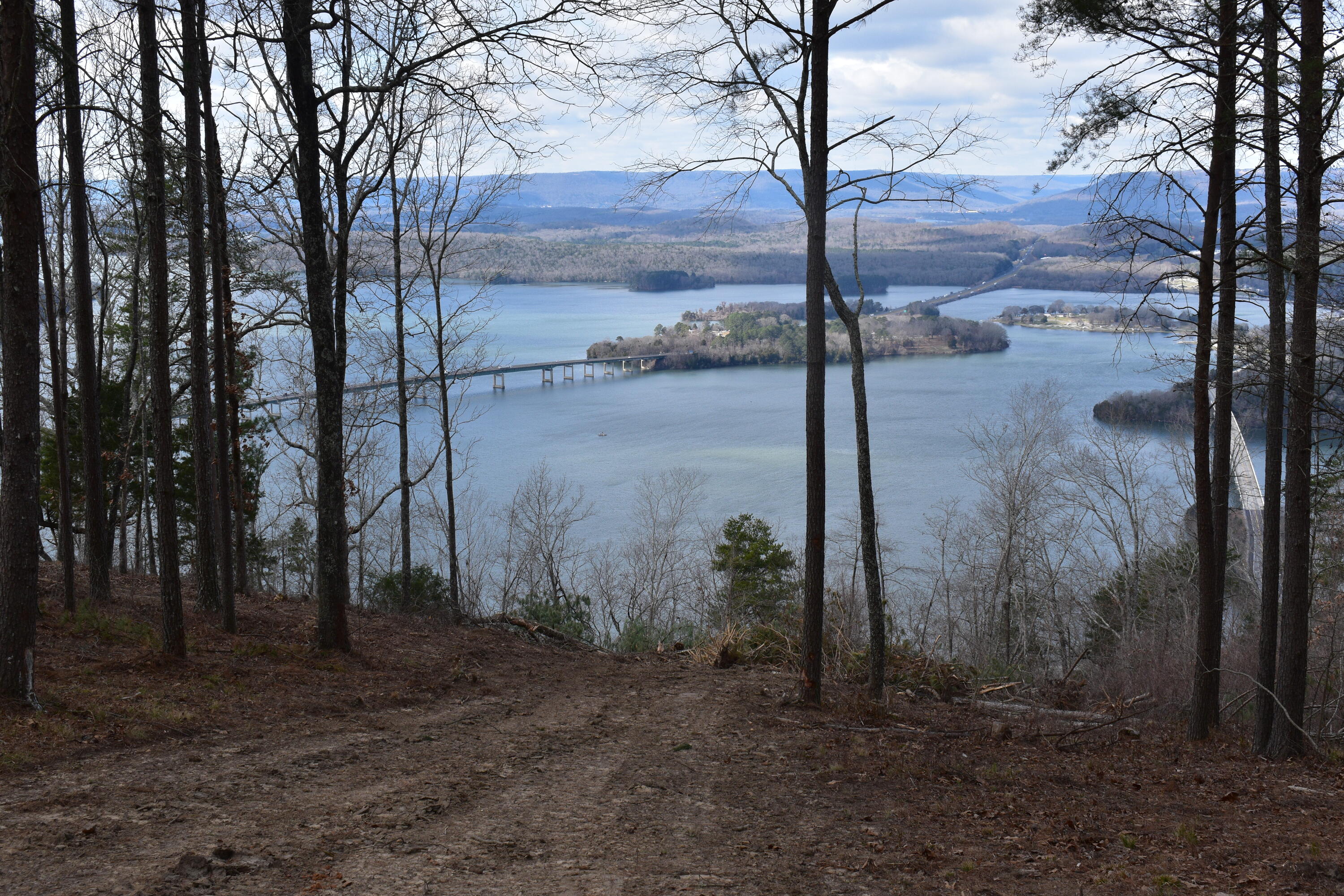 1155 Buck Xing Drive, Unit 1017 Guild, TN 37340 - Photo 15 of 20 17-6