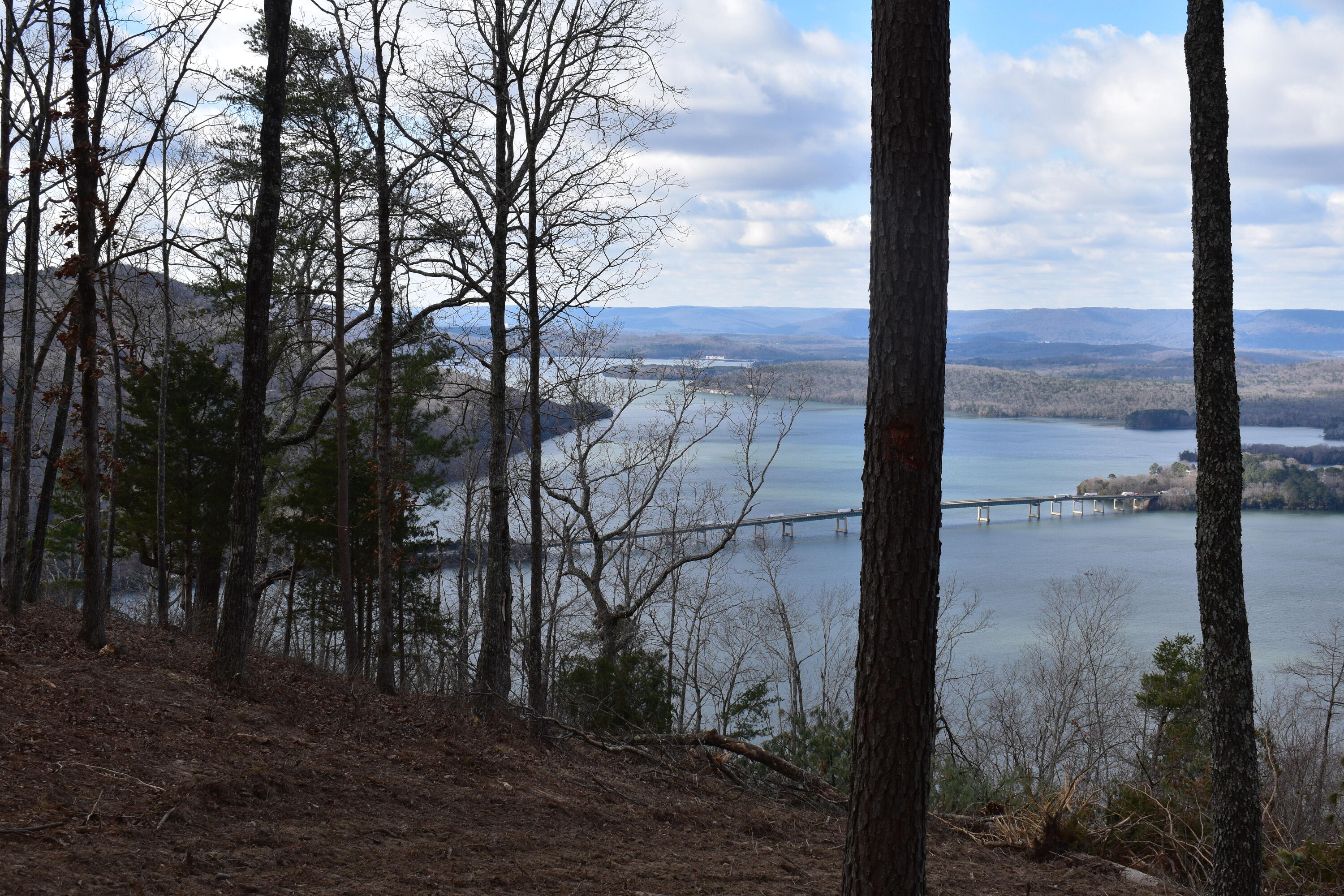 1155 Buck Xing Drive, Unit 1017 Guild, TN 37340 - Photo 17 of 21 17-7