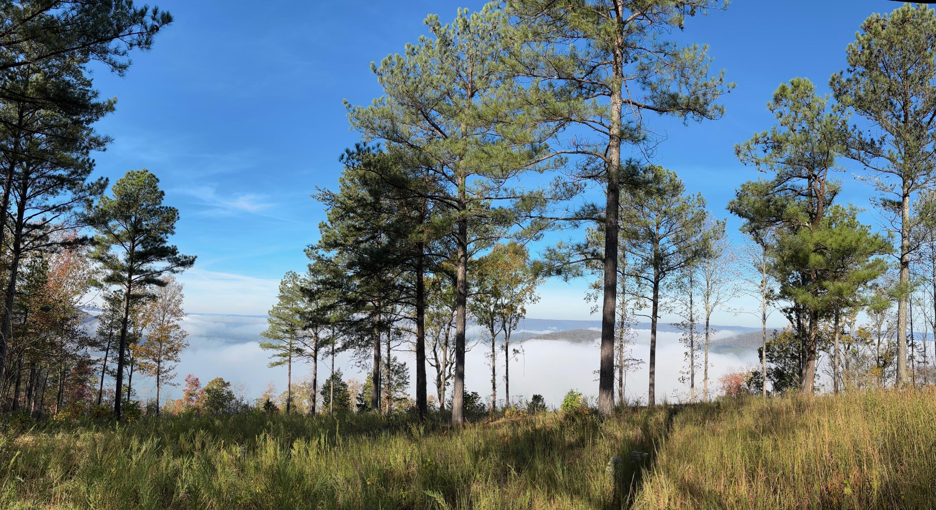 1155 Buck Xing Drive, Unit 1017 Guild, TN 37340 - Photo 4 of 18 RGR