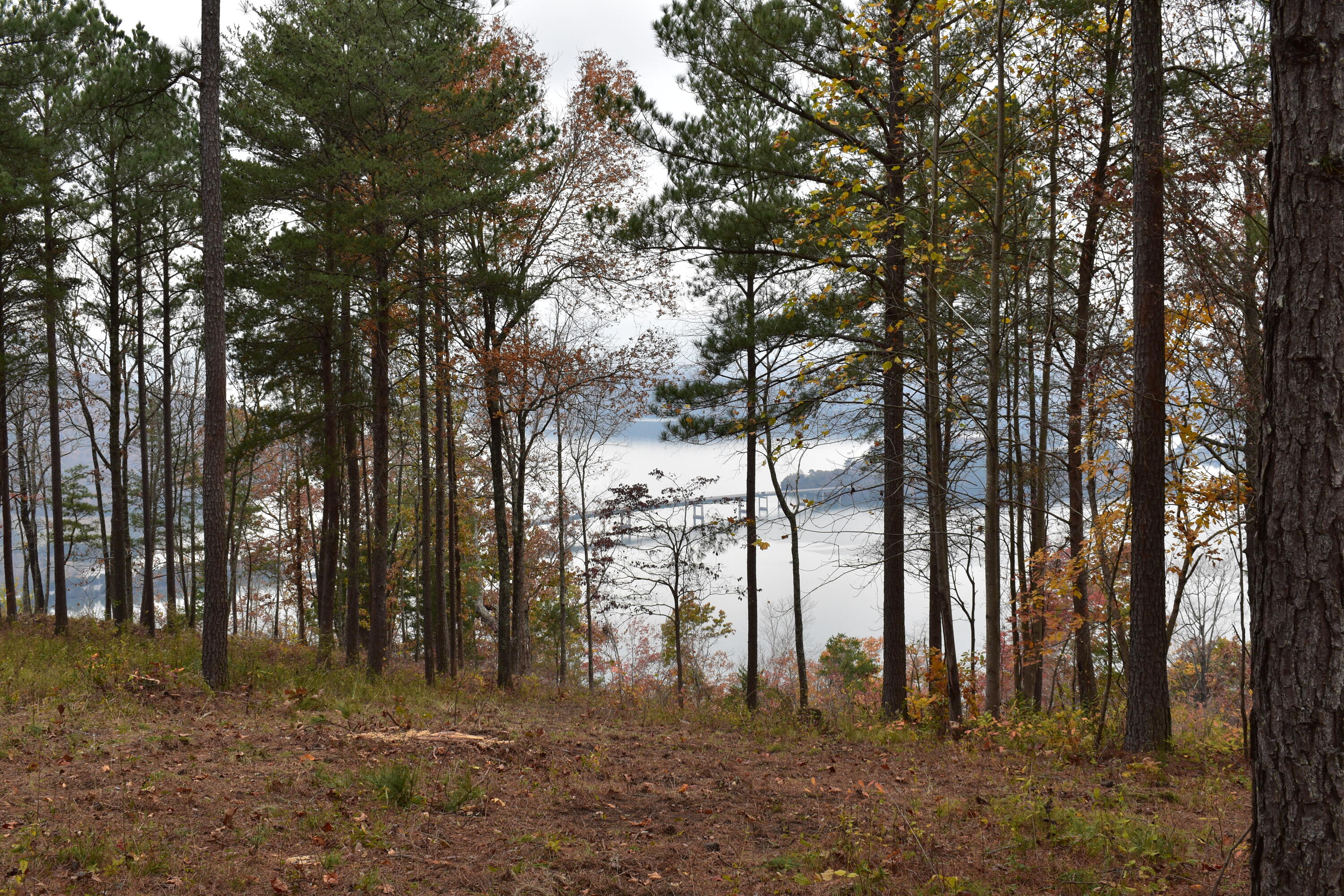 1155 Buck Xing Drive, Unit 1017 Guild, TN 37340 - Photo 8 of 20 RGR 100