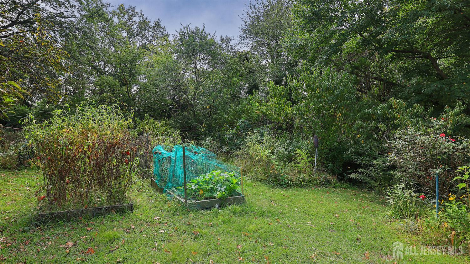 10 Bruning Road East Brunswick, NJ 08816 - Photo 35 of 40 a big yard with lots of green space and trees