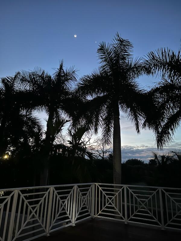 5844 Pinebrook Drive Boca Raton, FL 33433 - Photo 81 of 104 distant Moon with Palm trees corner of d