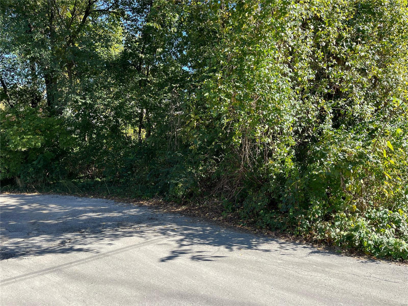 14 Michael Court Bethalto, IL 62010 - Photo 3 of 3