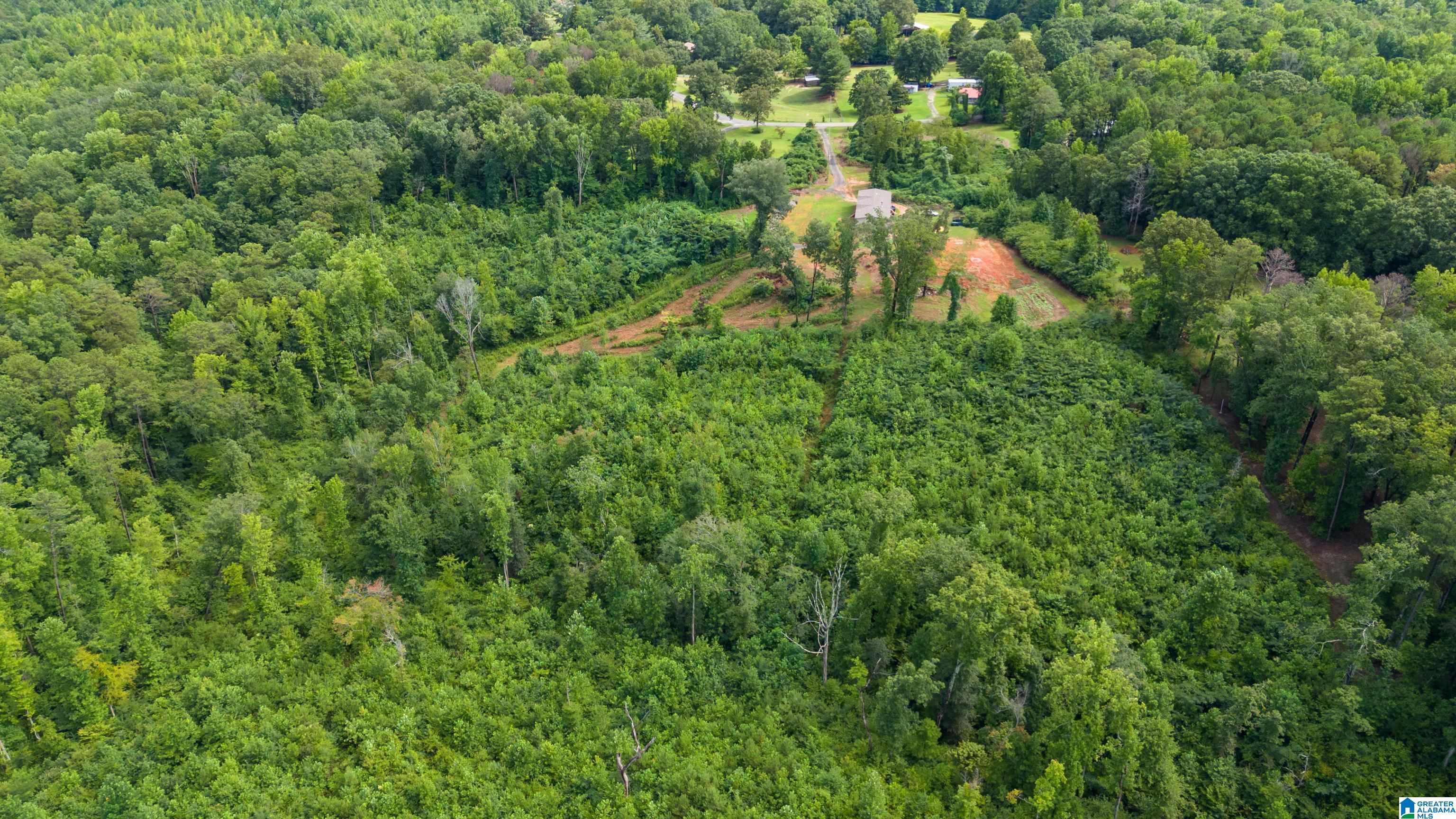 8437 Wade Road Warrior, AL 35180 - Photo 37 of 42