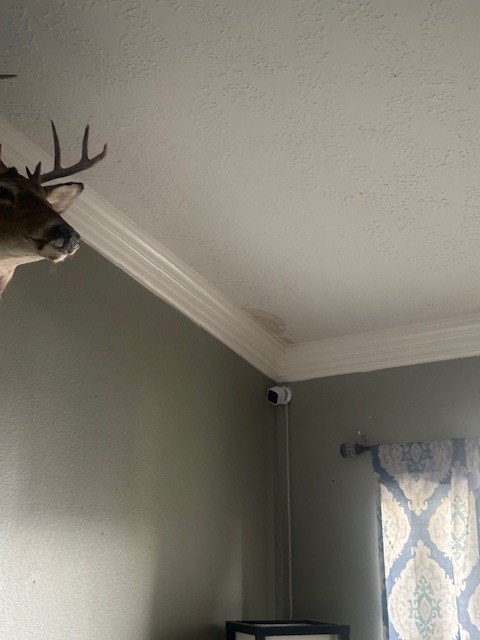 4303 Chestergate Drive Spring, TX 77373 - Photo 16 of 35 a view of closet