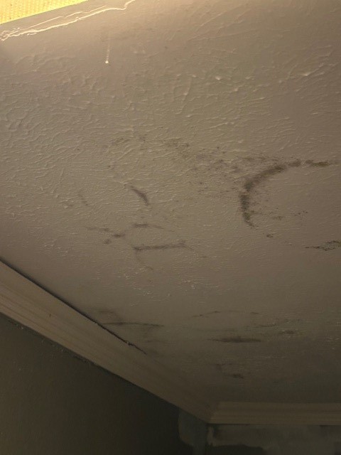 4303 Chestergate Drive Spring, TX 77373 - Photo 17 of 35 a bathroom with a shower