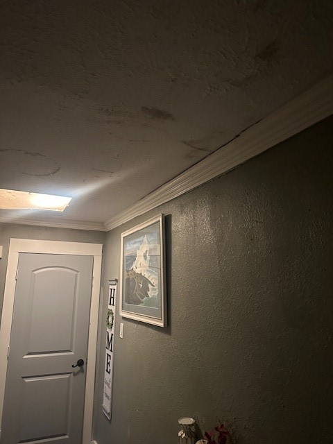 4303 Chestergate Drive Spring, TX 77373 - Photo 27 of 35 a view of room with hallway