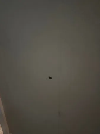 a view of a hallway with wooden floor and a bathroom