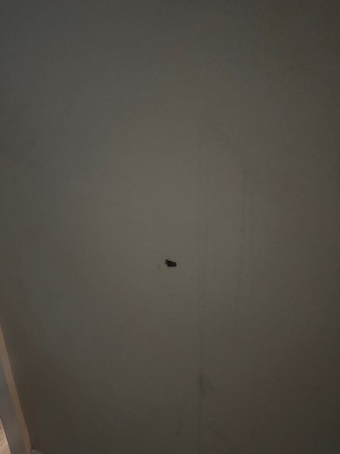 4303 Chestergate Drive Spring, TX 77373 - Photo 28 of 35 a close up of a white marble wall