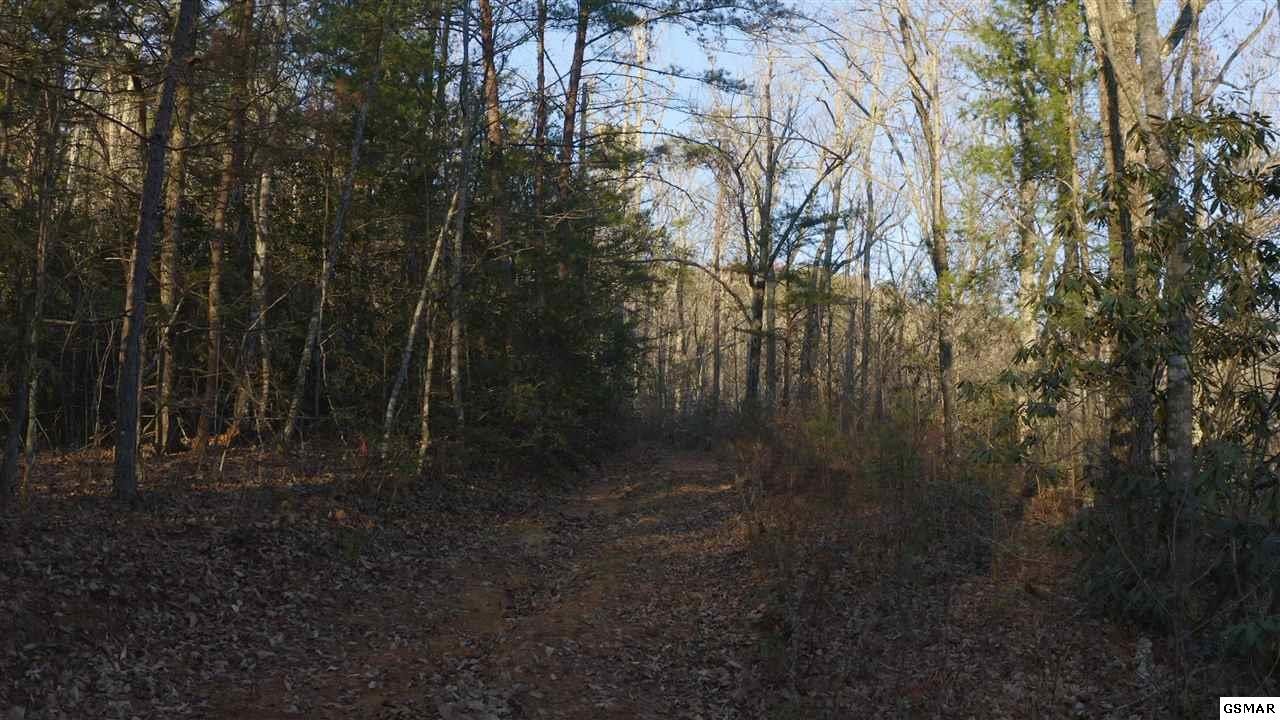 314 Hickey Road Sevierville, TN 37876 - Photo 12 of 36
