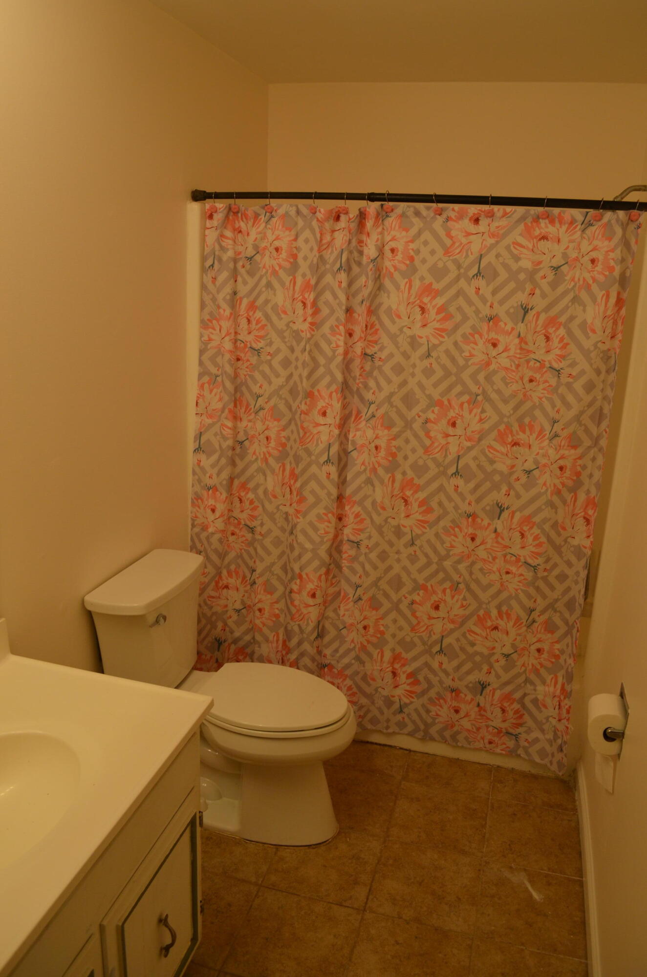 1005 Camp Tsatanuga Road Hixson, TN 37343 - Photo 11 of 31 DSC_0631