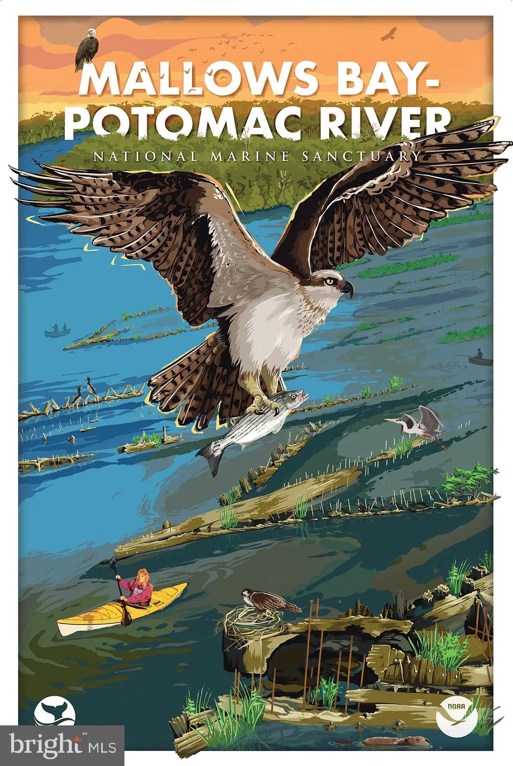 8965 Riverside Road Nanjemoy, MD 20662 - Photo 24 of 25