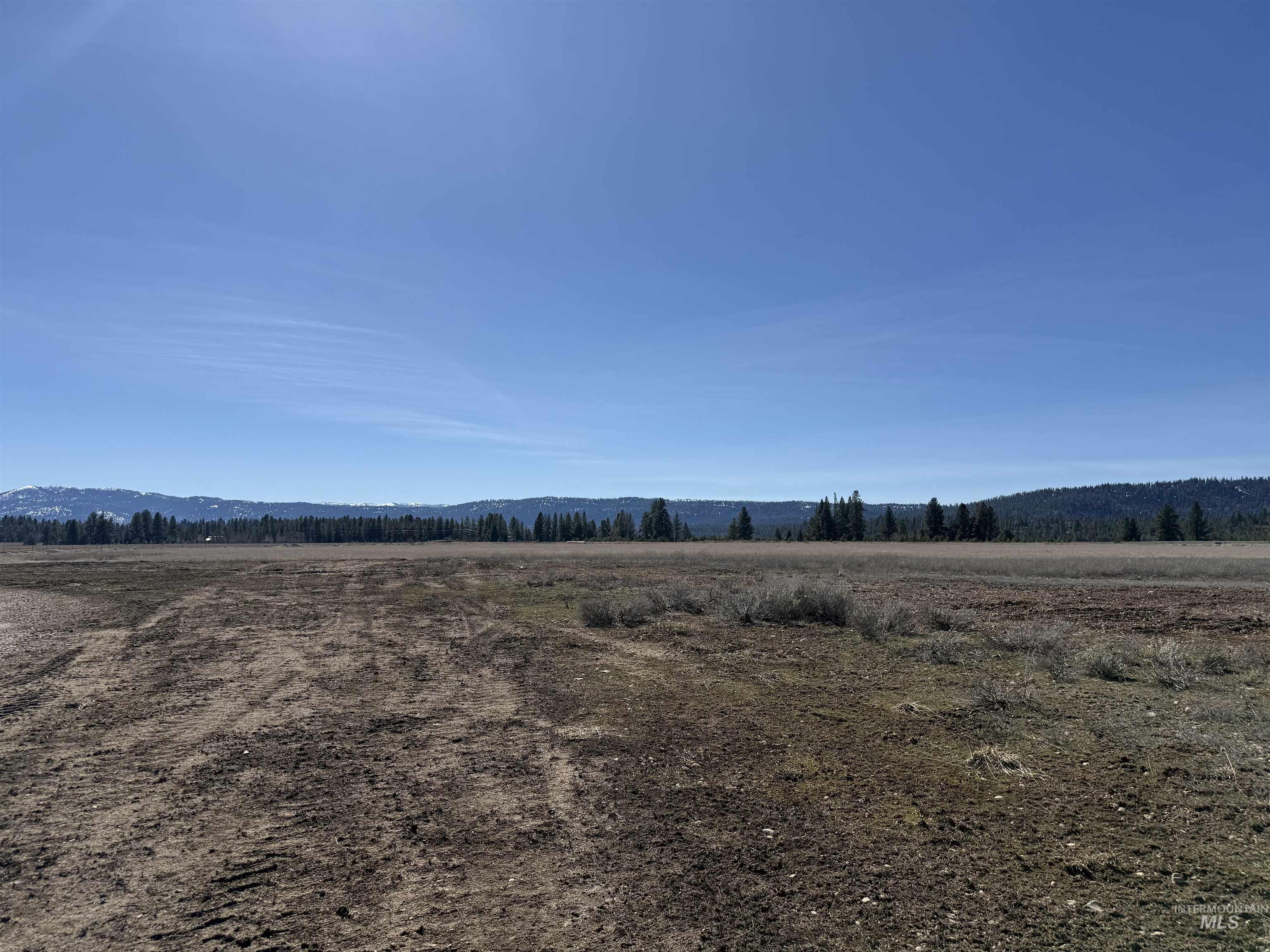 Tbd Lot 42 Tbd Loop McCall, ID 83638 - Photo 6 of 14 Looking southwest.