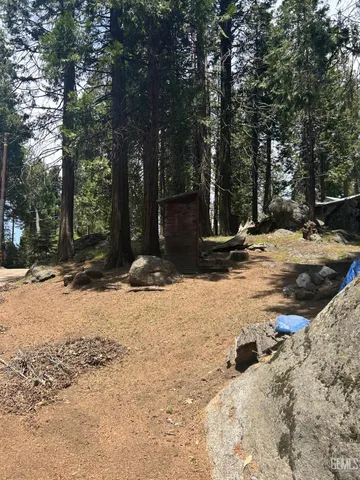 a view of the road and trees around
