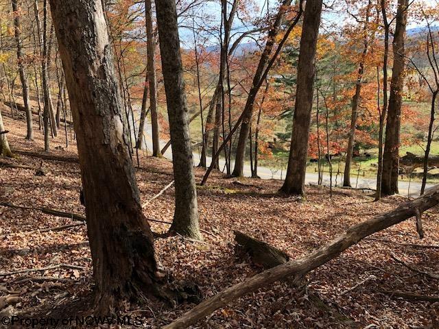 Tbd Holly Meadows Road Parsons, WV 26287 - Photo 18 of 21 Gallery Image 18