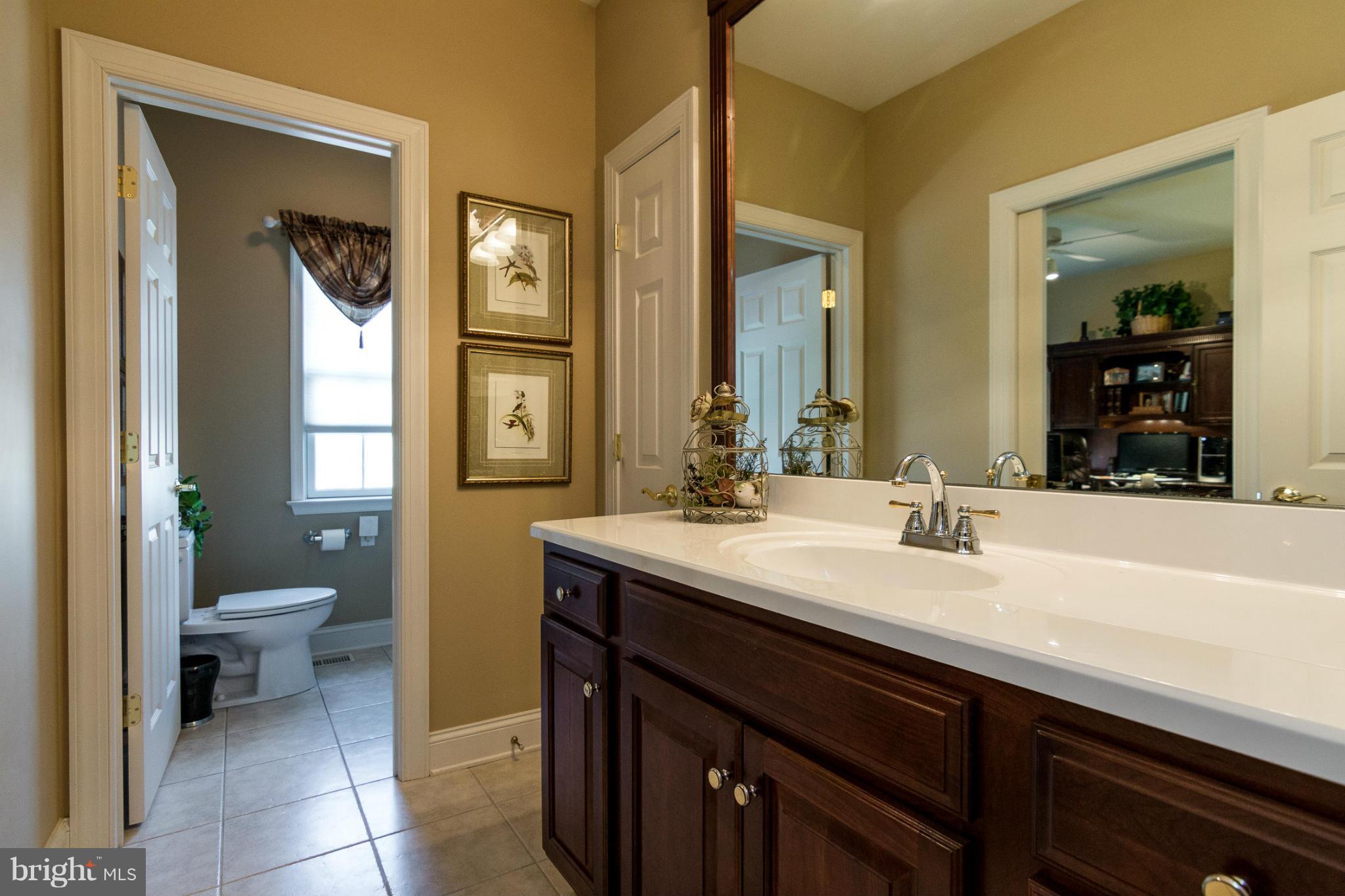 781 Lone Tree Road Westminster, MD 21157 - Photo 12 of 30 a bathroom with a sink a toilet and a mirror