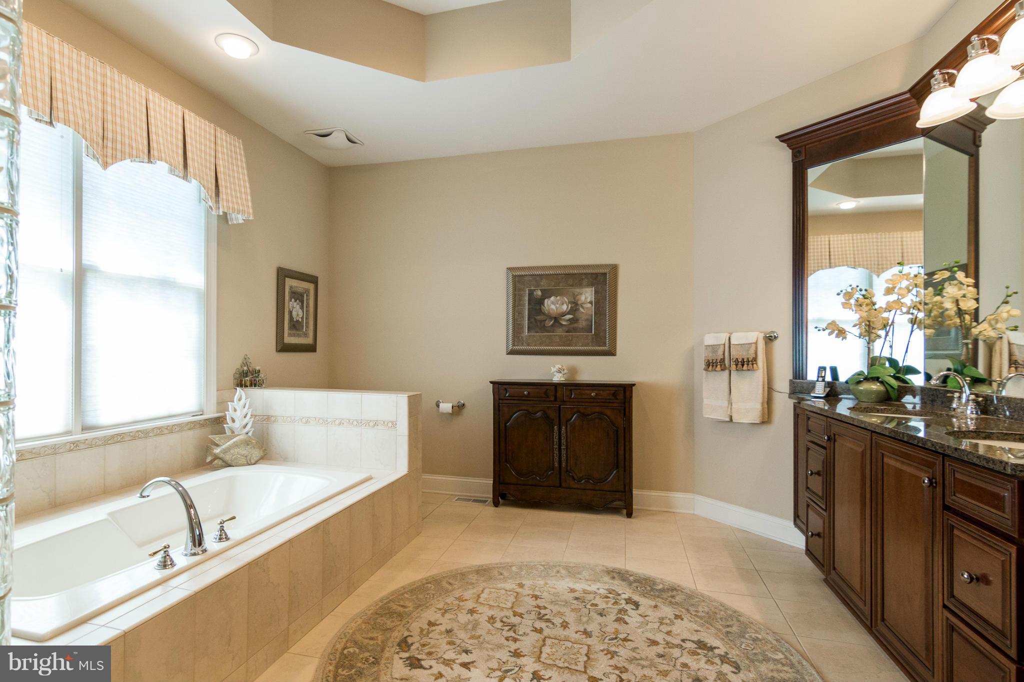 781 Lone Tree Road Westminster, MD 21157 - Photo 15 of 30 a spacious bathroom with a tub sink and mirror