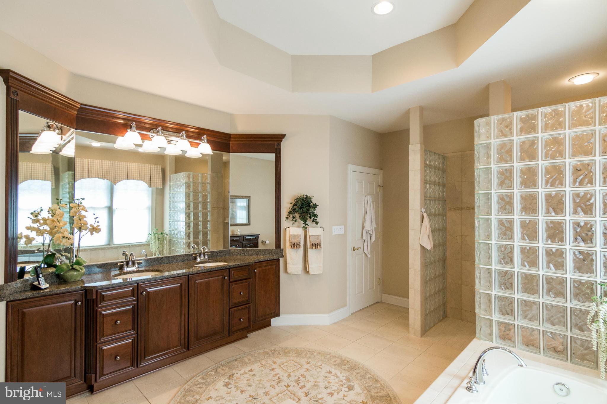 781 Lone Tree Road Westminster, MD 21157 - Photo 16 of 30 a spacious bathroom with a double vanity sink a large mirror and a shower