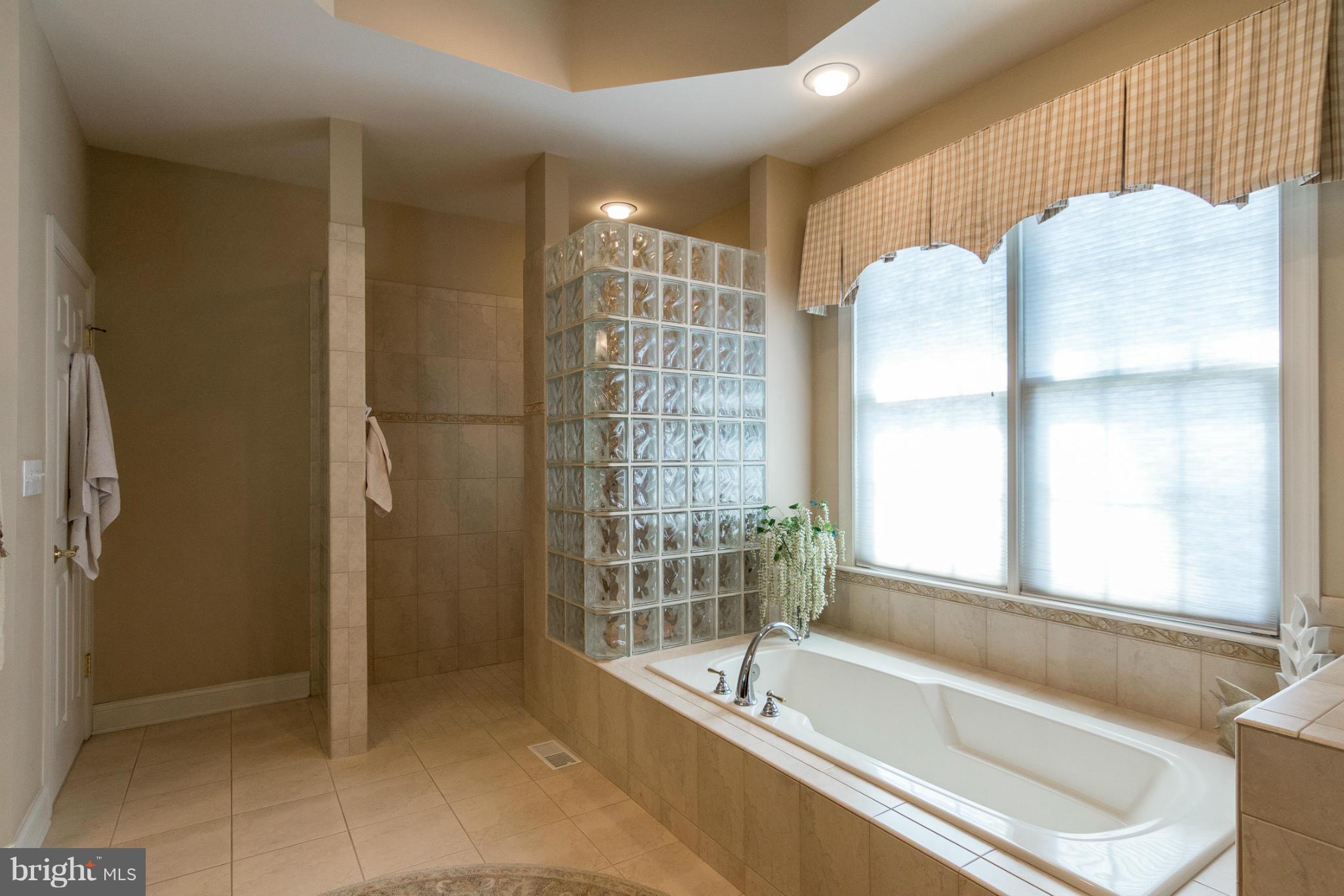 781 Lone Tree Road Westminster, MD 21157 - Photo 17 of 30 a bathroom with a bathtub and a shower
