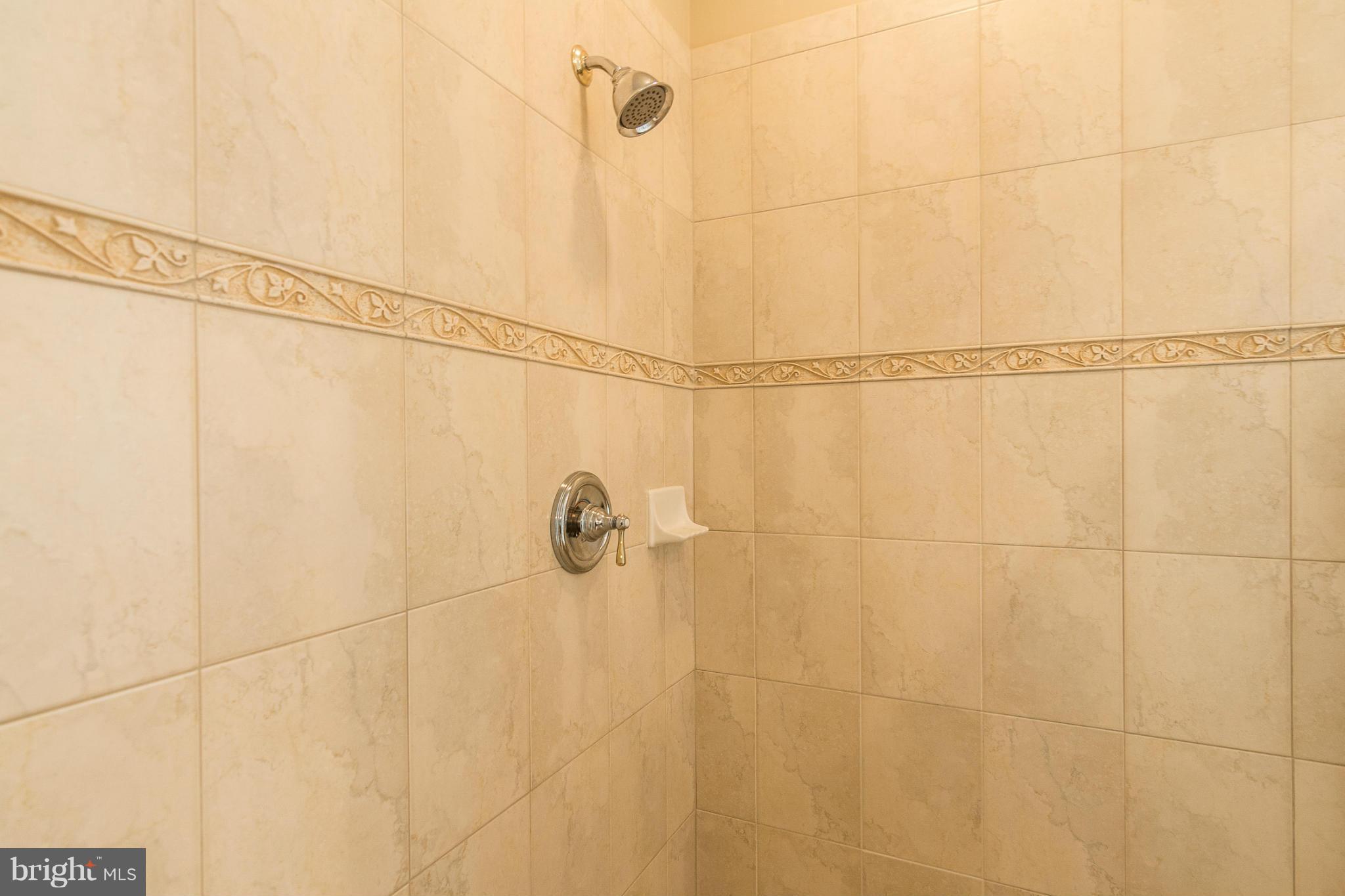781 Lone Tree Road Westminster, MD 21157 - Photo 18 of 30 a bathroom with a shower