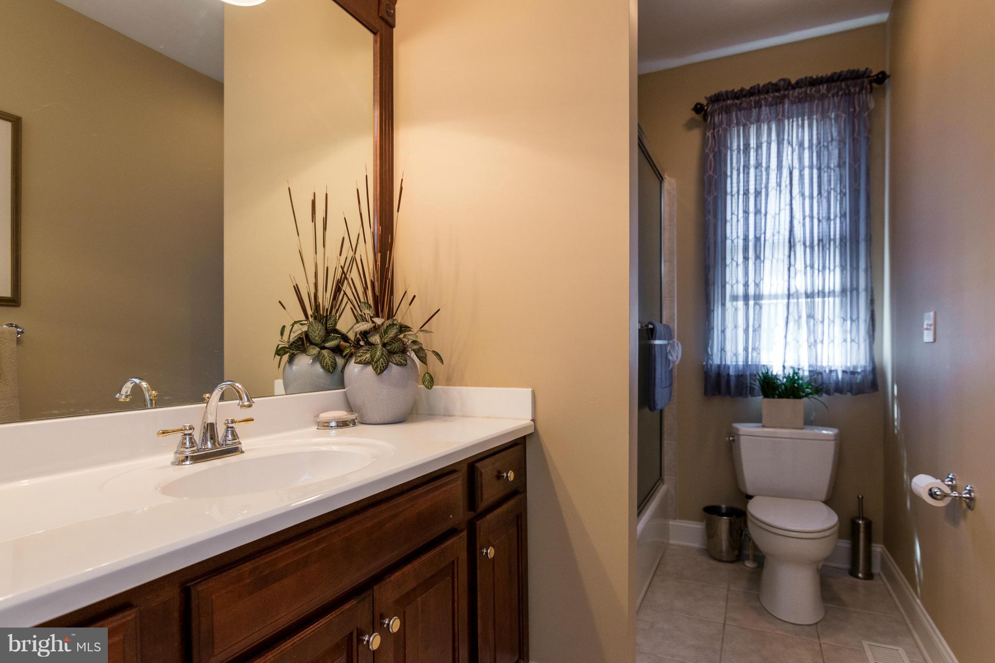 781 Lone Tree Road Westminster, MD 21157 - Photo 20 of 30 a bathroom with a sink and a mirror