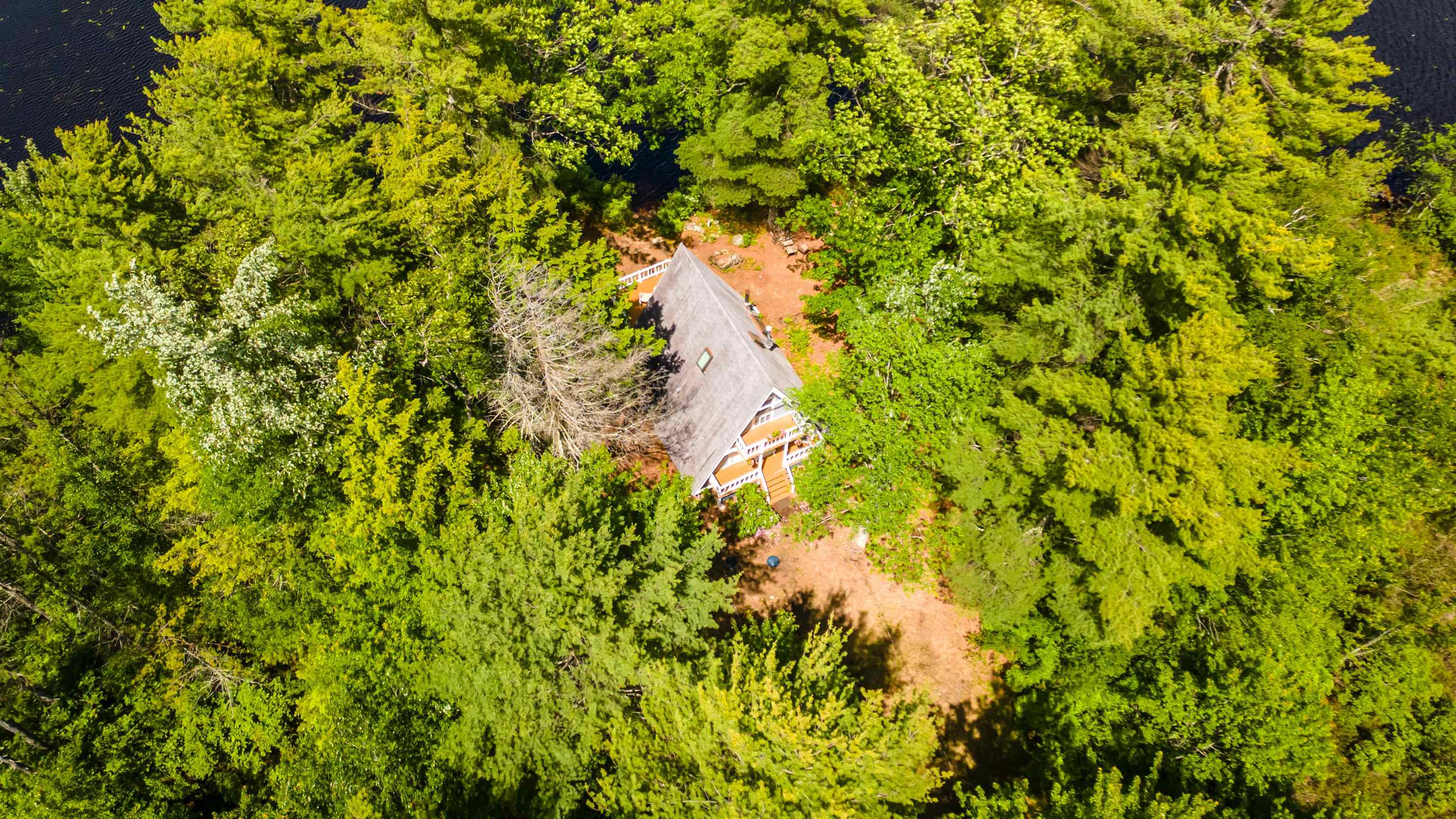 14 Sandy Cove Road Rindge, NH 03461 - Photo 51 of 60