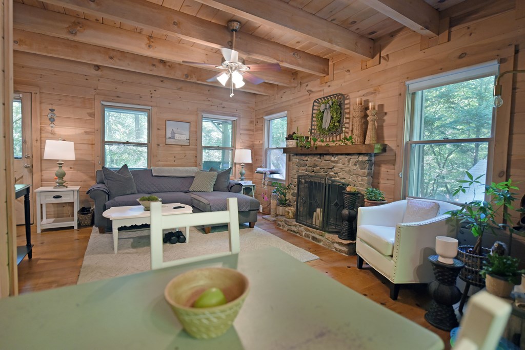 785 Bernhardt Road Ellijay, GA 30536 - Photo 18 of 33 Gallery Image 18