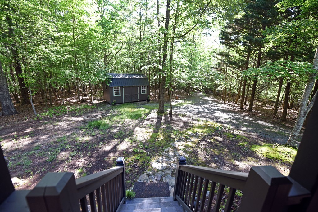 785 Bernhardt Road Ellijay, GA 30536 - Photo 30 of 33 Gallery Image 30