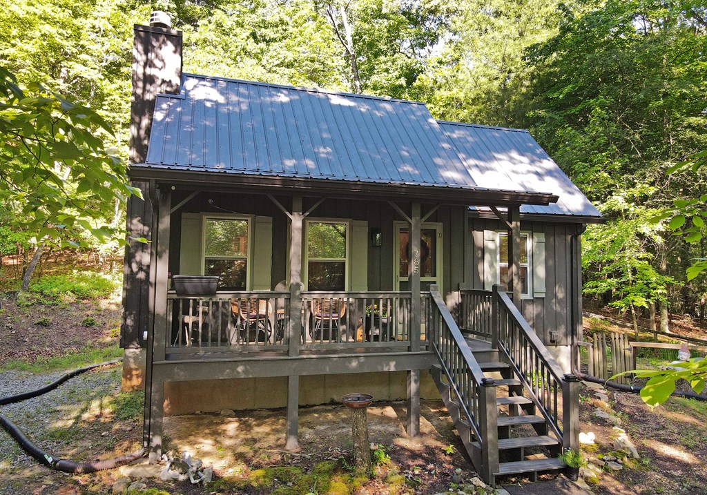 785 Bernhardt Road Ellijay, GA 30536 - Photo 4 of 33 Gallery Image 4